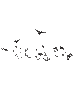 Птица - Ilmainen animoitu GIF