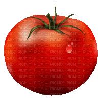 Tomate - Bezmaksas animēts GIF