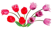 тюльпаны - png gratis