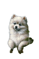 Chien - 無料png
