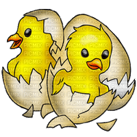 Easter. Chicken. Egg. Leila - Darmowy animowany GIF