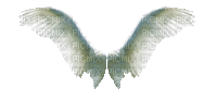 wings - 無料のアニメーション GIF