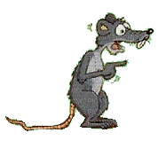 rat - Bezmaksas animēts GIF