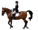 a cheval - Free animated GIF