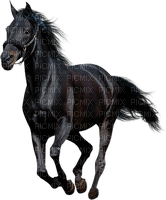 caballo - PNG gratuit