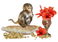 Kaz_Creations Animals Monkey - png gratuito