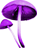 Mushrooms.Purple - фрее пнг