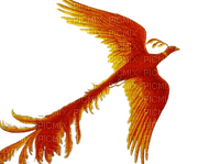 Жар-птица - PNG gratuit