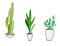 ✶ Cactus {by Merishy} ✶ - png grátis