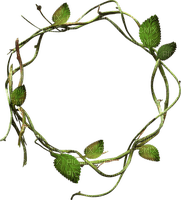 kikkapink autumn circle frame leaves - Free PNG