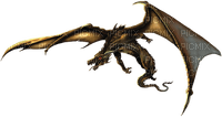 Dragon or gold - ingyenes png