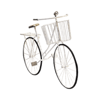 bicycle anastasia - png gratis