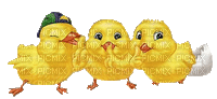 ani-påsk-kyckling - Gratis animeret GIF