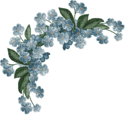 Blue Flowers.Fleurs.Branche.Victoriabea - darmowe png