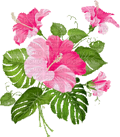 soave deco summer animated flowers tropical branch - GIF animate gratis