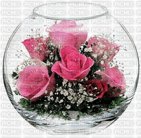 MMarcia gif flores fleur rosas - Бесплатный анимированный гифка