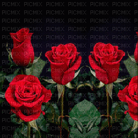 Rosen, roses, Hintergrund background animated animiert