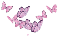 Butterflies - ücretsiz png