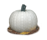 White Pumpkin with leaves-RM - Free PNG