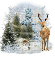 winter deer by nataliplus - zdarma png