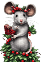 Mouse Christmas - Bogusia - PNG gratuit