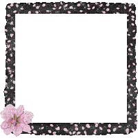 kikkapink scrap animated flower frame - Darmowy animowany GIF