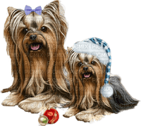Kaz_Creations Dogs Dog Pup 🐶Christmas Colours - PNG gratuit