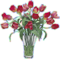 Bouquet of Tulips - Free animated GIF