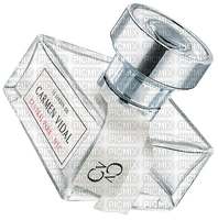 Perfume White Silver Carmen Vidal - Bogusia