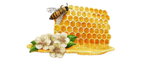 Honey  Bee - Bogusia - Free PNG