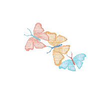 бабочка - 免费动画 GIF