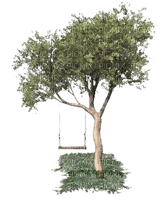 arbre - png grátis