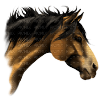 Pferd - besplatni png