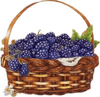blackberries Bb2 - PNG gratuit