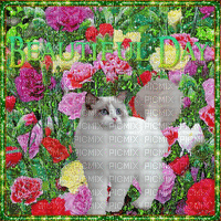 Beautiful Day-Animated cat in field glitter carnations gif - GIF animé gratuit