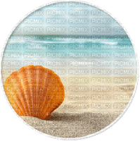 oysterBb2 - Free PNG