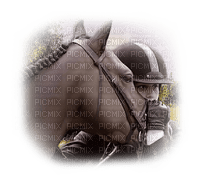 cecily-cheval cavaliere - zadarmo png