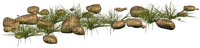 stones and grass - PNG gratuit