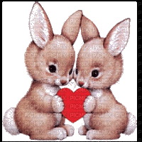 deux lapins coeur - Бесплатный анимированный гифка