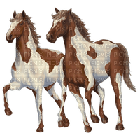 chevaux - bezmaksas png