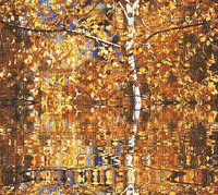 autunno - Ücretsiz animasyonlu GIF