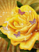 MMarcia gif rosa amarela fundo - Darmowy animowany GIF