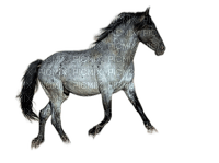 Blue horse ...... - zadarmo png