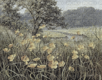 LANDSCAPE FLOWERS ROSALIA73 RAIN - Бесплатни анимирани ГИФ