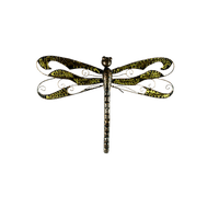 minou-dragonfly-libellula-trollslända - png gratis