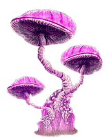 mushroom  by nataliplus - besplatni png