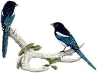 bluebirds - Free PNG