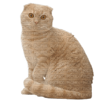 patrcia87 chat - 免费PNG