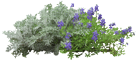 Bloemen en Planten - GIF animado grátis