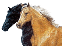 caballos dubravka4 - Free PNG